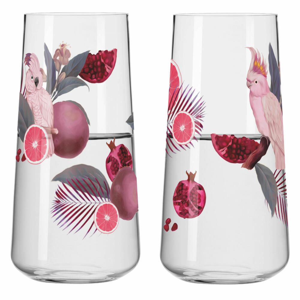 Ritzenhoff D-TOX Sommersonett F24, 2er Set, R. Richter, Universalglas, Kristallglas, 614 ml, 6151002