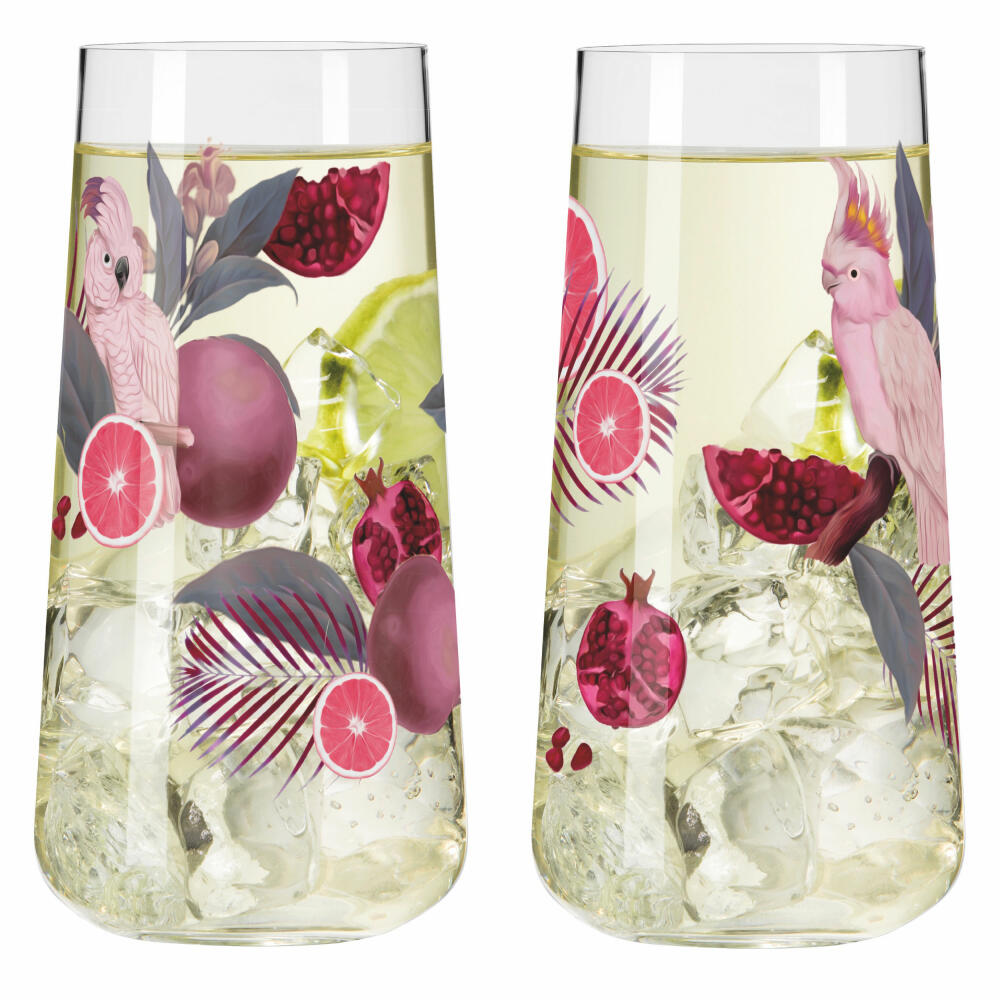 Ritzenhoff D-TOX Sommersonett F24, 2er Set, R. Richter, Universalglas, Kristallglas, 614 ml, 6151002