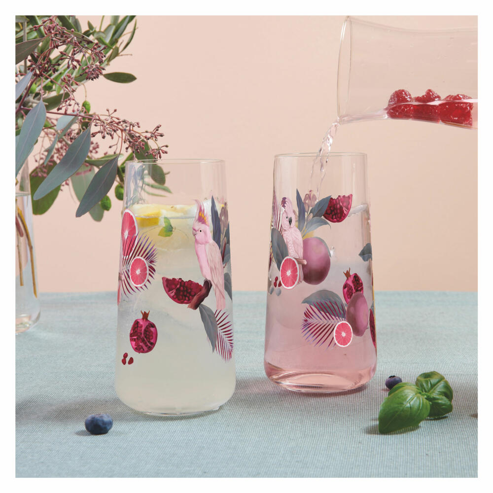 Ritzenhoff D-TOX Sommersonett F24, 2er Set, R. Richter, Universalglas, Kristallglas, 614 ml, 6151002