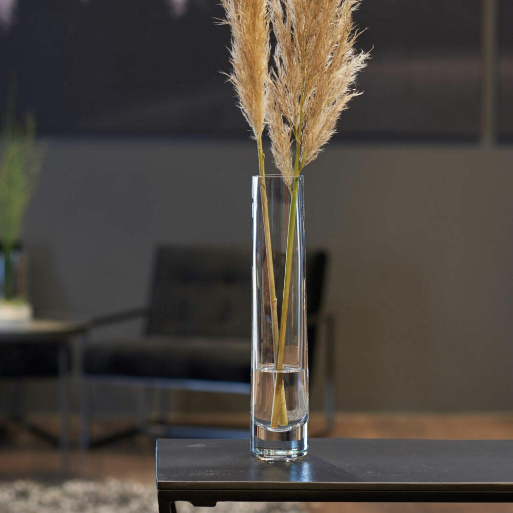 Leonardo Vase NOVARA, Dekovase, Glasvase, Kalk-Natron Glas, Klar, 30 cm, 018626