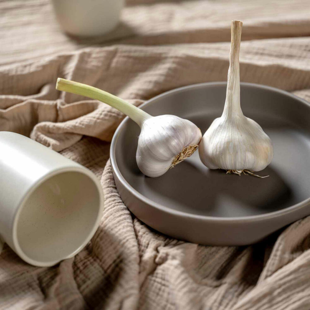 Leonardo Keramikteller Tief ROMA, Teller, Speiseteller, Pastateller, Keramik, Taupe, 20 cm, 027923