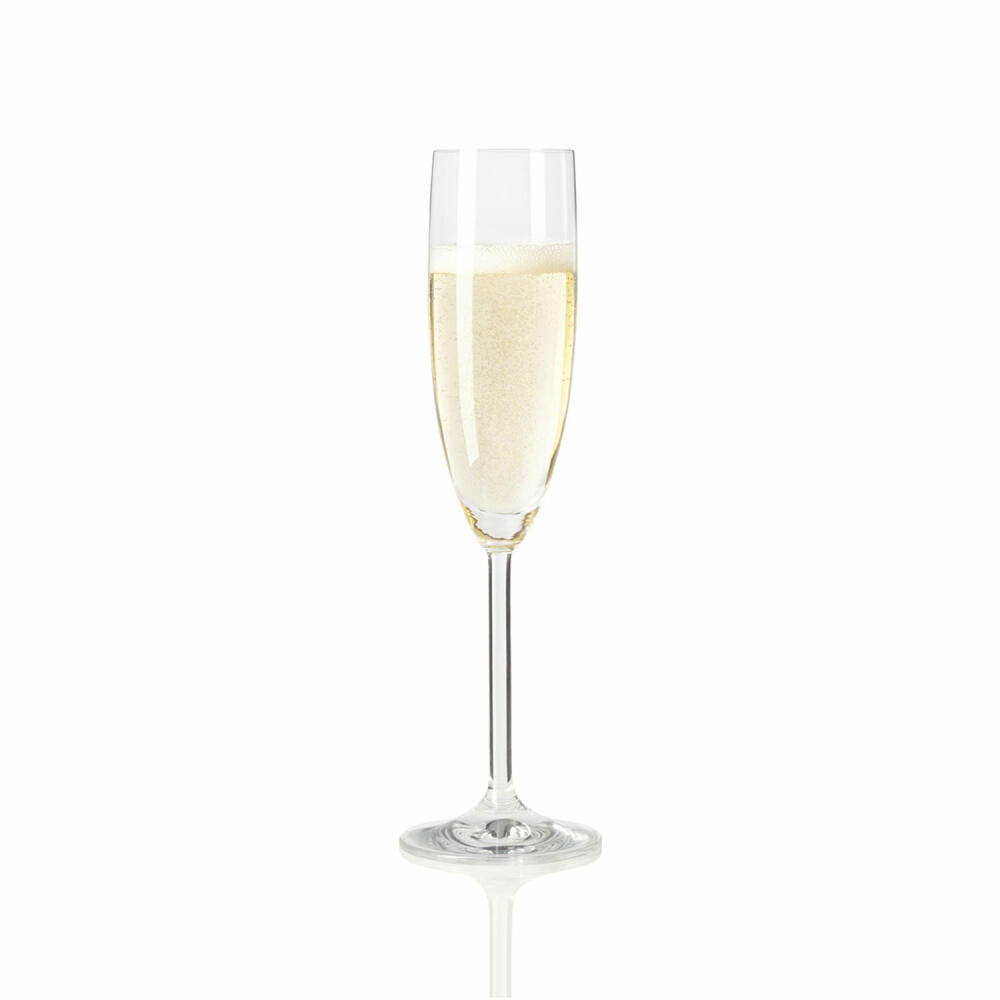 Leonardo Daily Sektglas, Champagnerglas, Proseccoglas, Glas, 210 ml, 63314