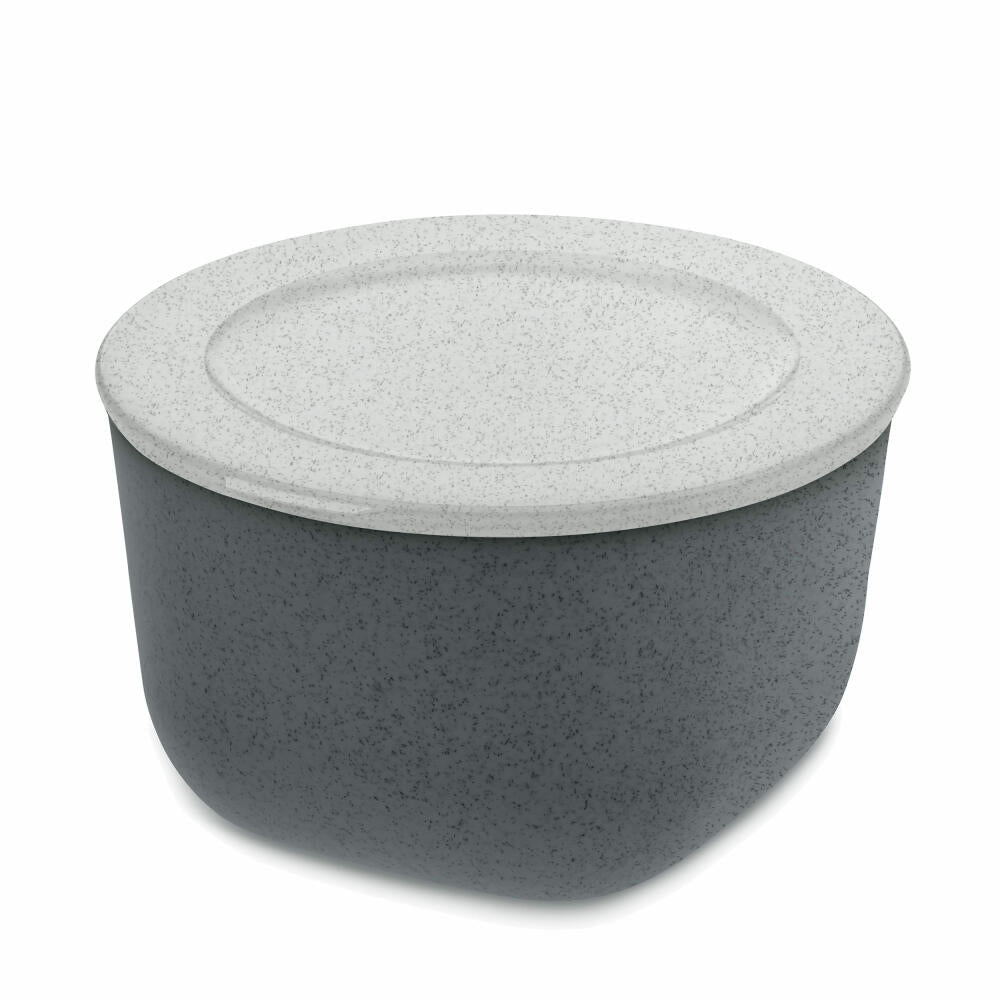 Koziol Box with Lid Connect M, Storage Box, Organizer, Box, Thermoplastic Plastic, Organic Deep Grey, 1 L, 3870673