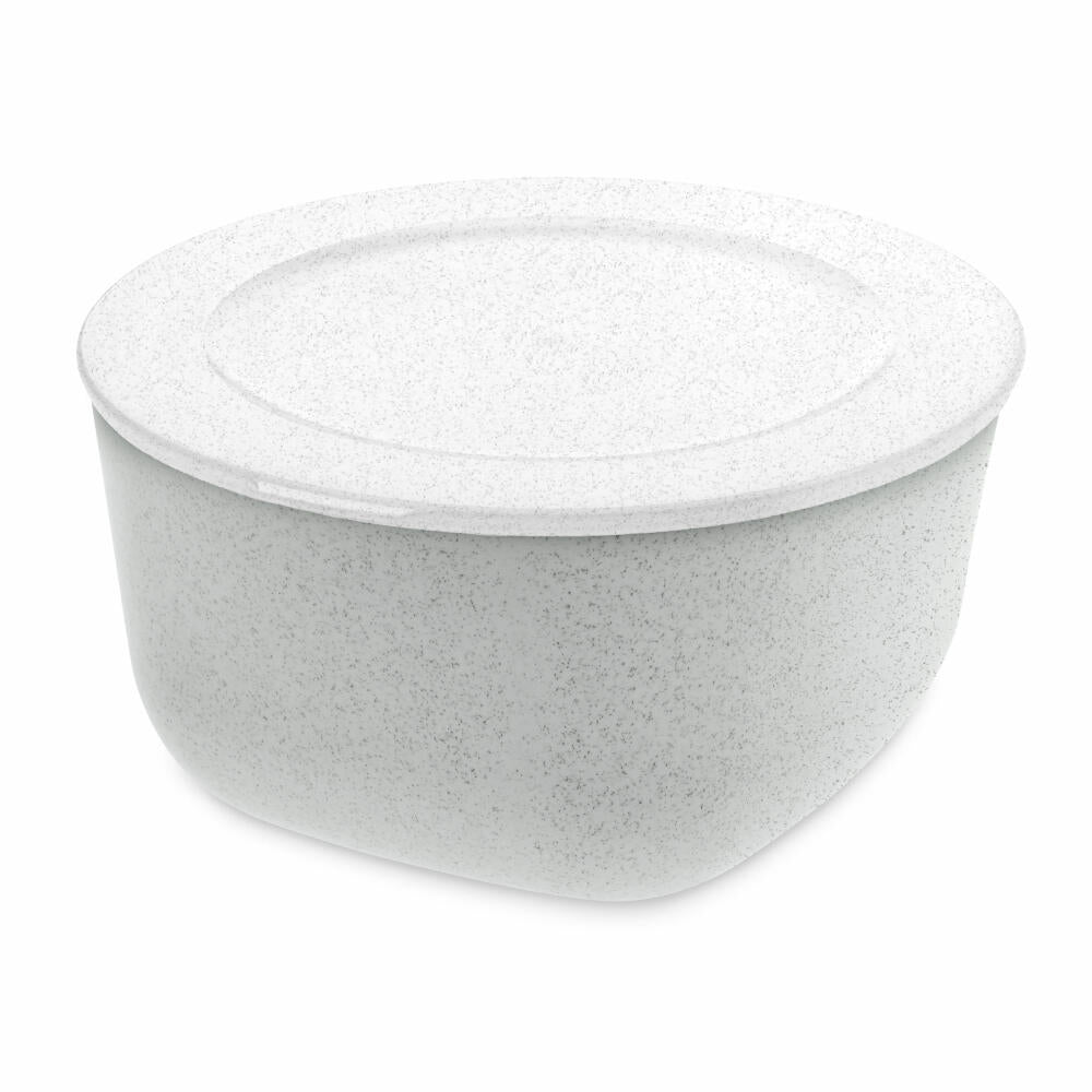Koziol Box with Lid Connect L, Food Storage Container, Can, Storage, Thermoplastic, Organic Grey/Organic White, 2 L, 3871296