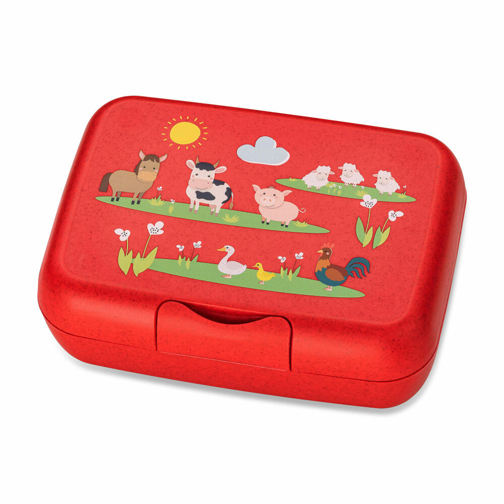 Koziol Lunchbox Candy L Farm, Brotdose, Kunststoff-Holz-Mix, Organic Red, 1425676