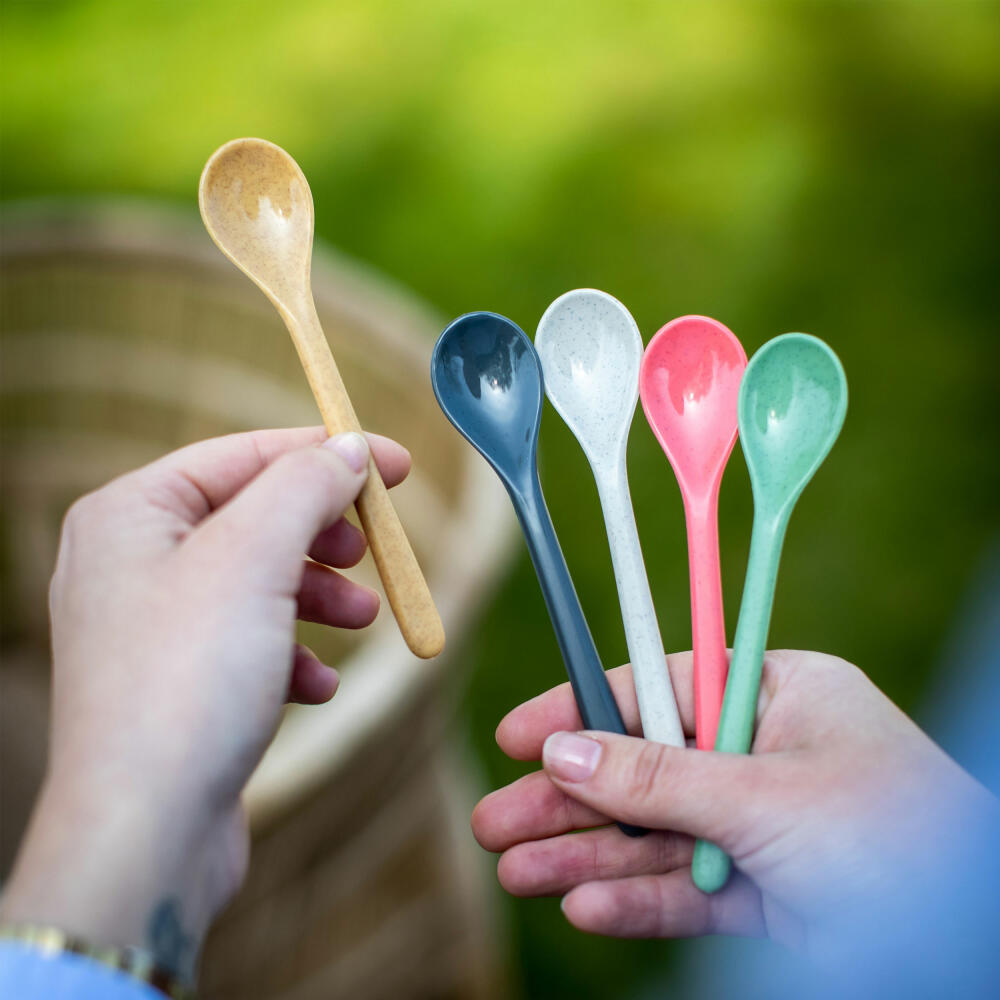 Koziol Löffel Rio 5er-Set, Kunststofflöffel, verschiedene Farben, 13.4 cm, 8037117