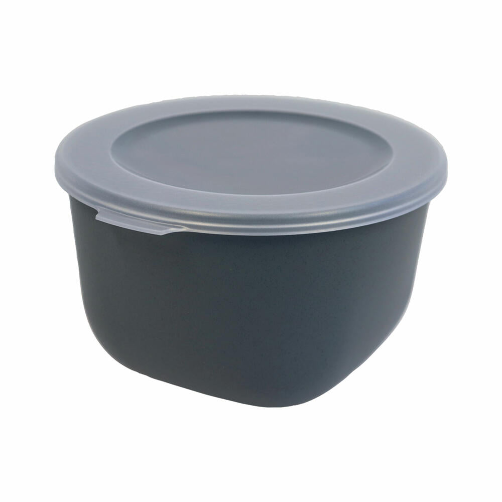Koziol storage box Connect Box 1, storage container, plastic, Nature Ash Grey, 1 L, 8870701
