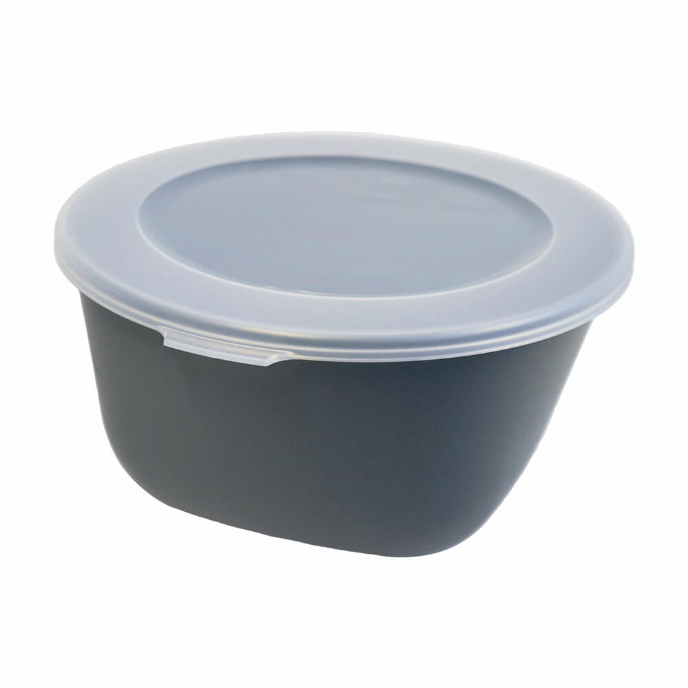 Koziol storage box Connect Box 2, storage container, plastic, Nature Ash Grey, 2 L, 8871701