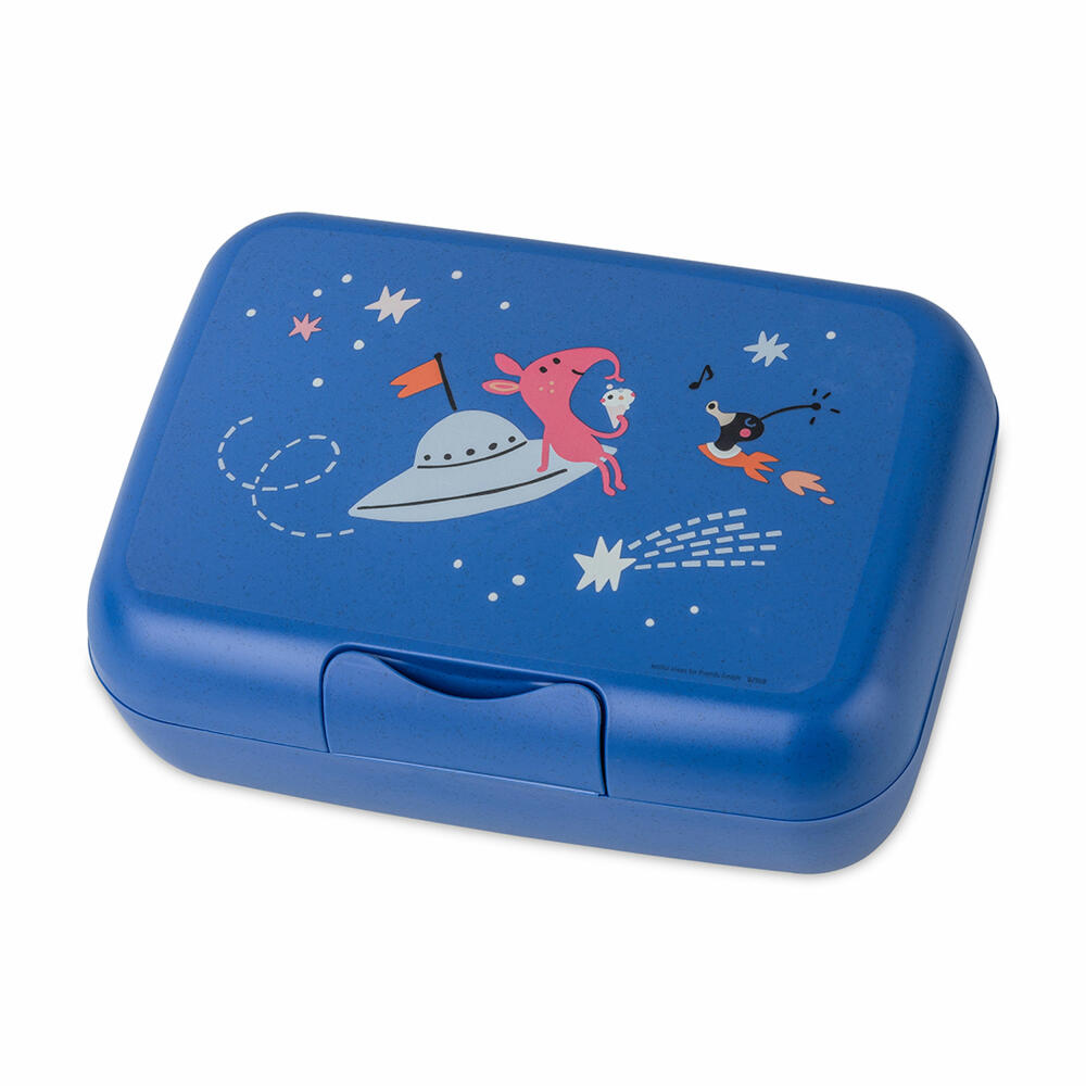 Koziol Lunchbox Candy L Space with divider, breakfast box, plastic, Organic Blue, 8342746