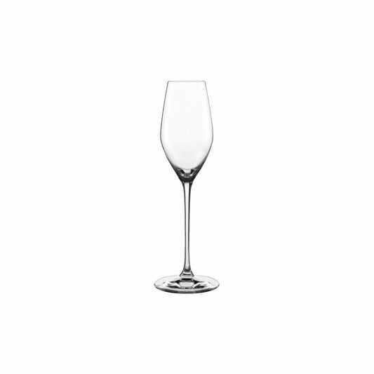 Spiegelau Topline Champagnerkelch, 6er Set, Champagnerglas, Sektglas, Kristallglas, 300 ml, 4190129