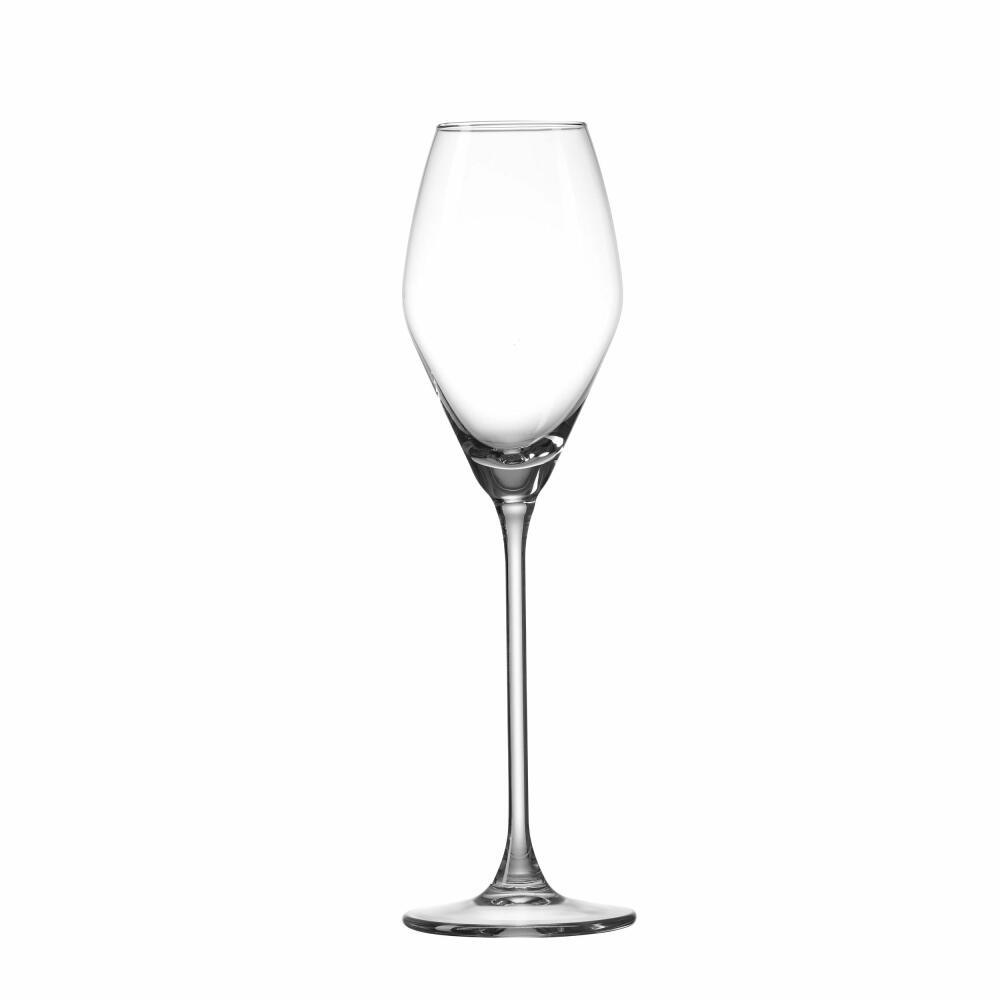 Ritzenhoff & Breker Sektkelch Salsa 6er Set, Sektgläser, Glas, Klar, 200 ml, 814507