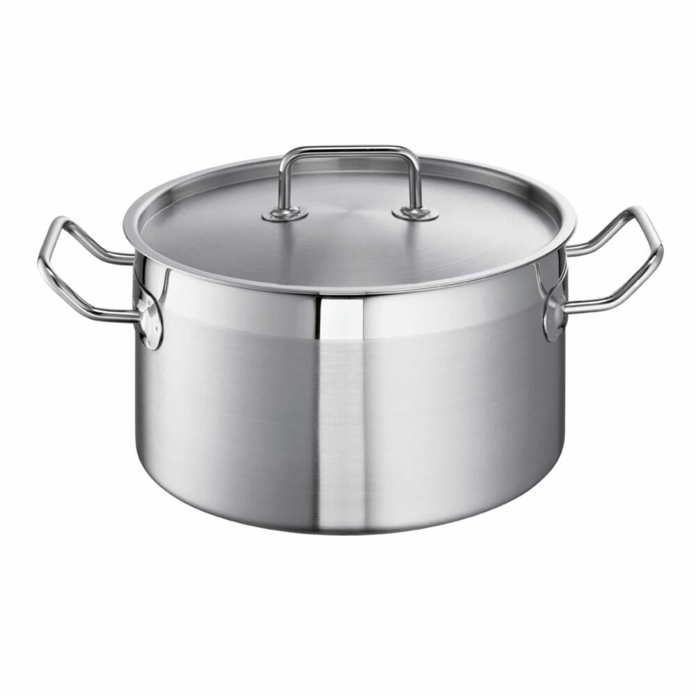 Schulte-Ufer meat pot Profi-Line i, casserole dish, cooking pot, stainless steel 18/10, 24 cm, 6 L, 6414-24 i