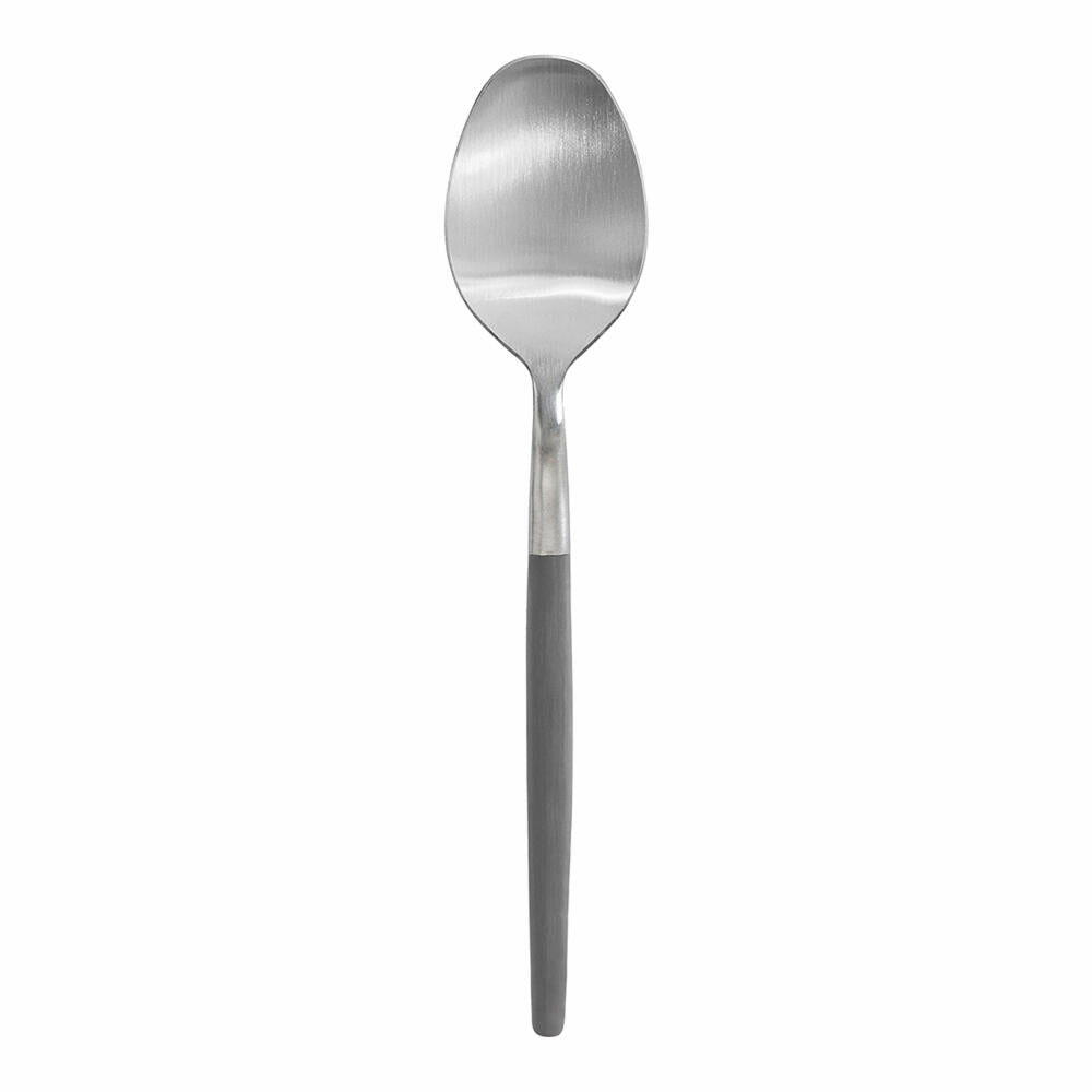 Blomus spoon Maxime, dining spoon, cutlery, stainless steel matt, plastic, sharkskin, 64125