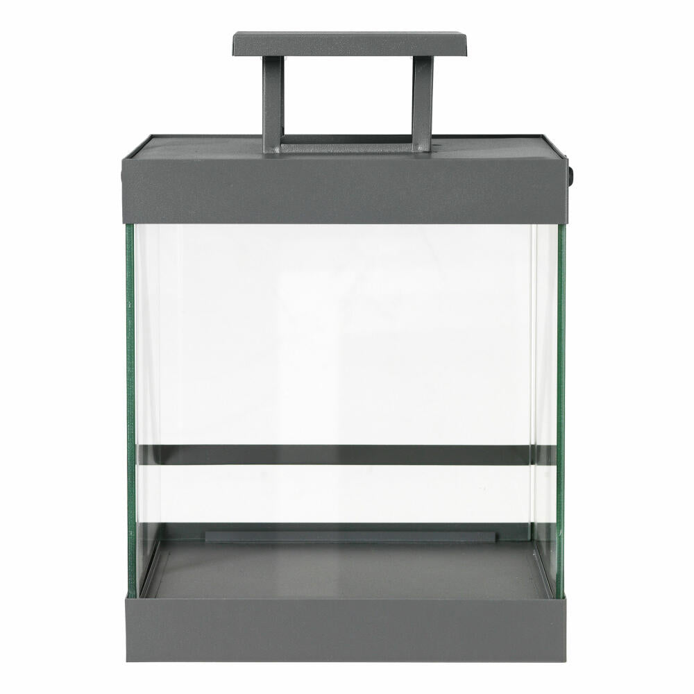Blomus Laterne Finca Klein, Indoor Laterne, Windlicht, Stahl pulverbeschichtet, Glas klar, Steel Gray, 30.5 cm, 66178