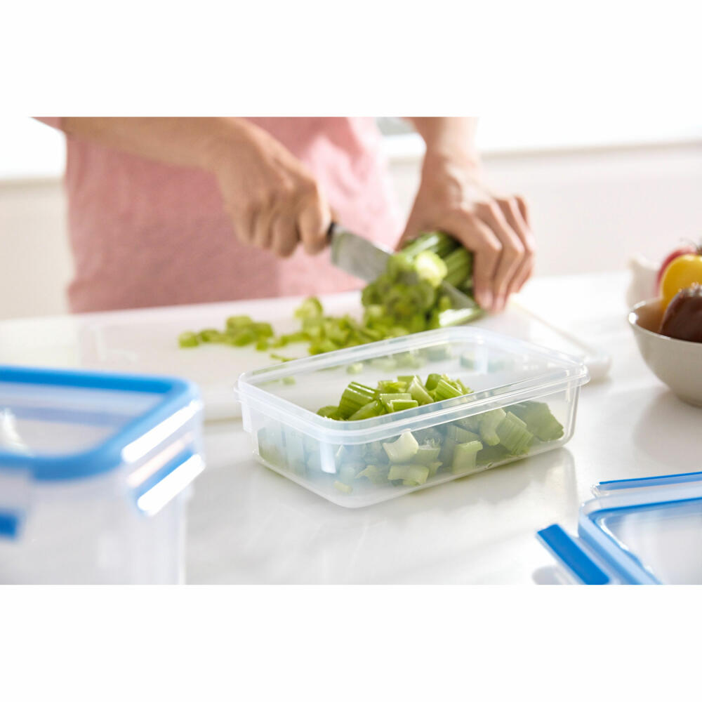 Emsa CLIP &amp; CLOSE food storage container set, 3-piece, food storage container, container, round, plastic, raspberry, 515584
