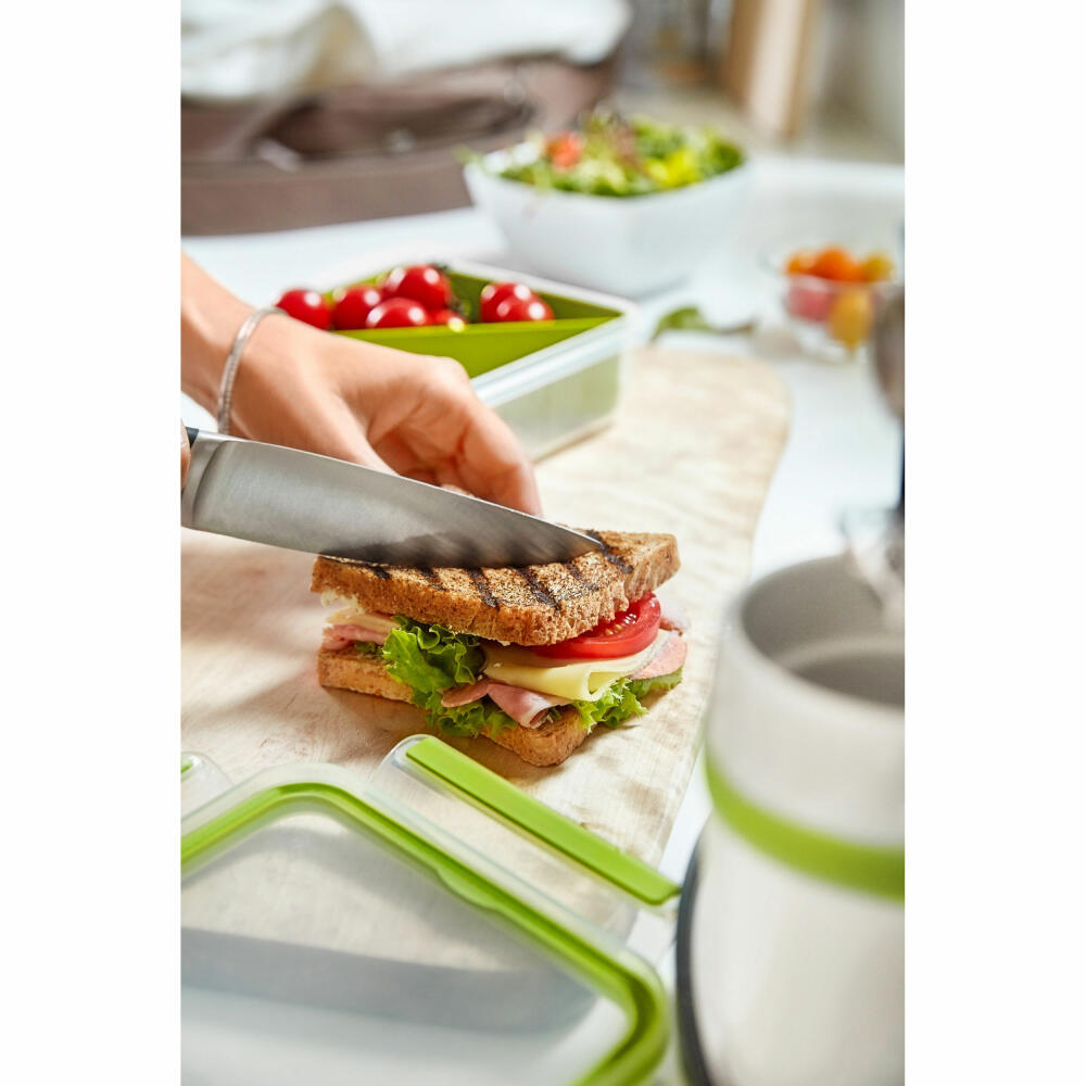Emsa CLIP & GO Salatbox Rund mit Einsatz und Dressingbox, Lunchbox, Kunstoff, Transparent/Hellgrün, 2.6 L, N1071300