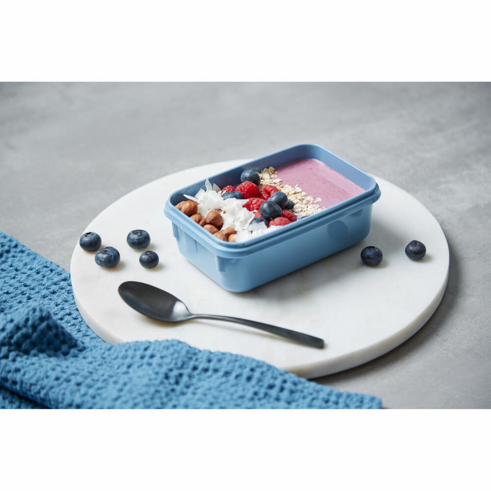 EMSA Clip &amp; Close COLOR EDITION food storage container, storage container, plastic, aqua blue, 0.55 L, N10122