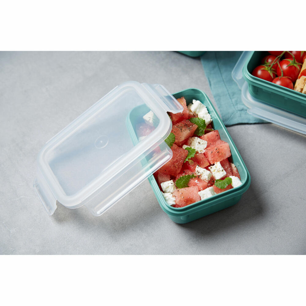 EMSA Clip &amp; Close COLOR EDITION food storage container, storage container, plastic, powder green, 0.55 L, N10124