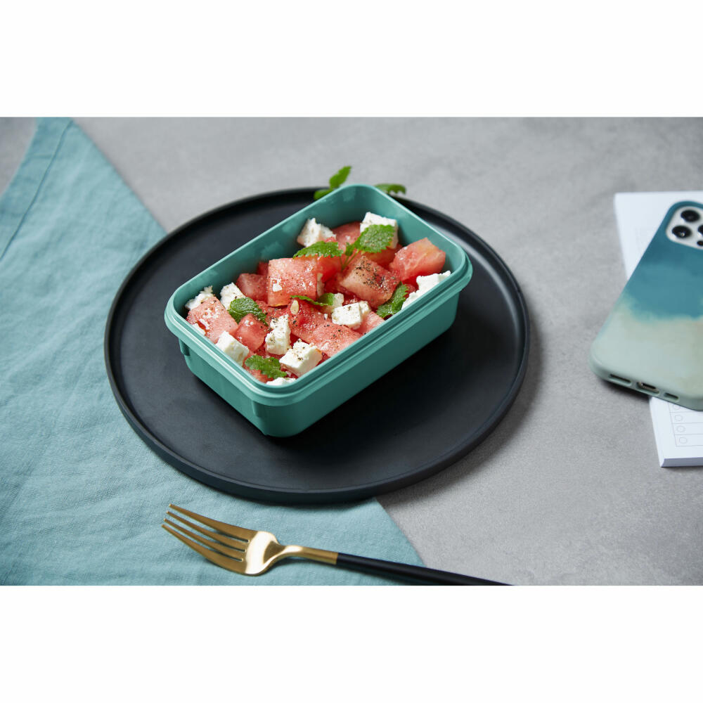 EMSA Clip &amp; Close COLOR EDITION food storage container, storage container, plastic, powder green, 0.55 L, N10124