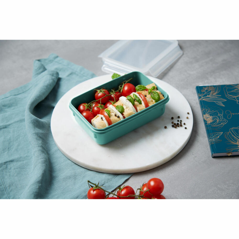 EMSA Clip &amp; Close COLOR EDITION food storage container, storage container, plastic, powder green, 0.8 L, N10127