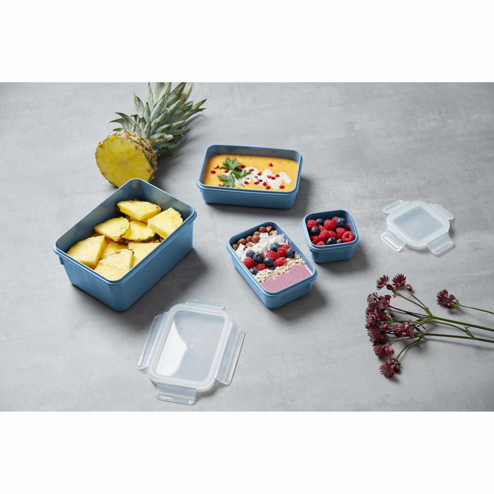 EMSA Clip &amp; Close COLOR EDITION food storage containers, 4 pcs., storage container, storage container, food storage container, plastic, aqua blue, N10308