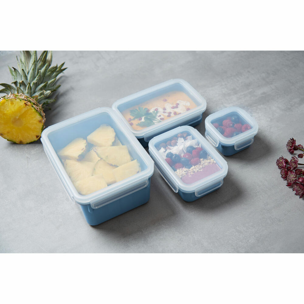 EMSA Clip &amp; Close COLOR EDITION food storage containers, 4 pcs., storage container, storage container, food storage container, plastic, aqua blue, N10308
