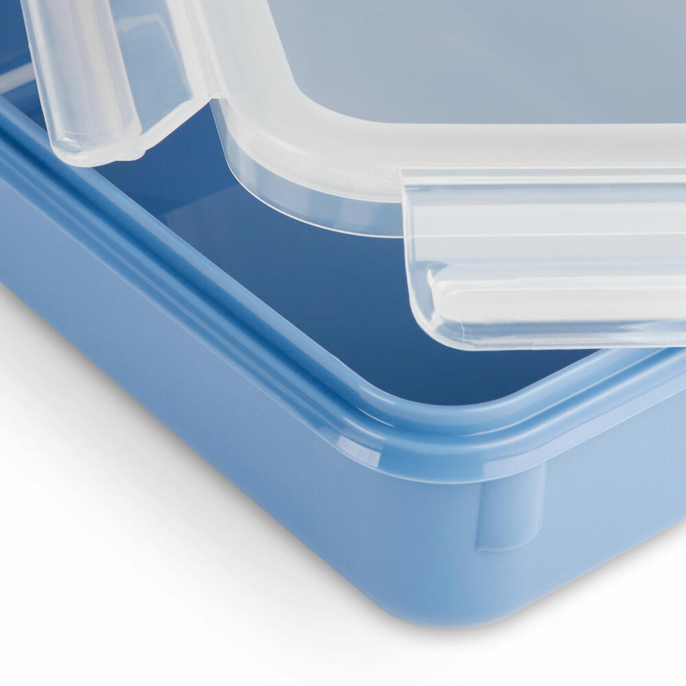 EMSA Clip &amp; Close COLOR EDITION food storage containers, 4 pcs., storage container, storage container, food storage container, plastic, aqua blue, N10308