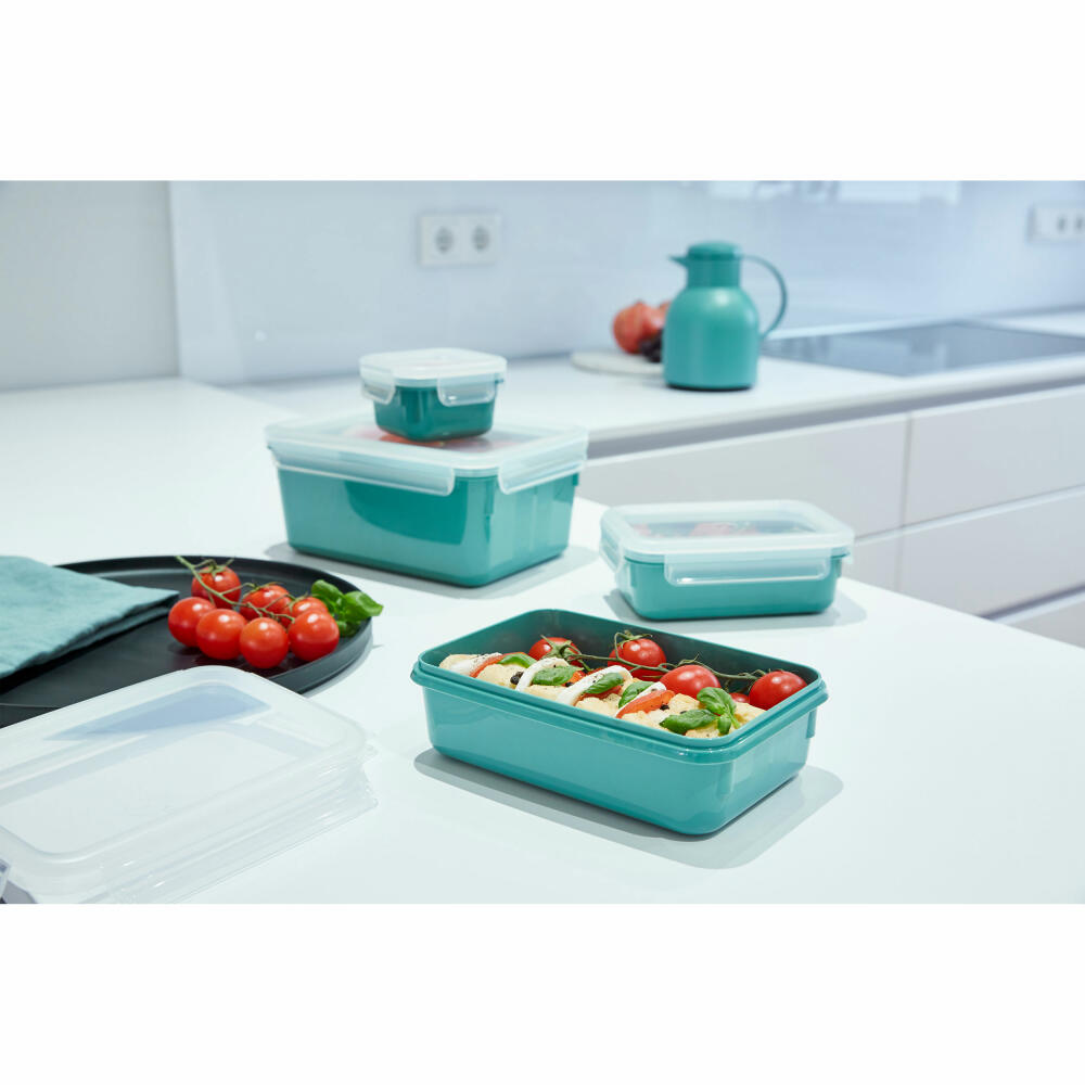 EMSA Clip &amp; Close COLOR EDITION food storage container, storage container, plastic, powder green, 0.55 L, N10124