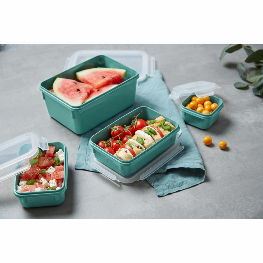 EMSA Clip &amp; Close COLOR EDITION food storage containers, 4 pcs., storage container, storage container, food storage container, plastic, powder green, N10310