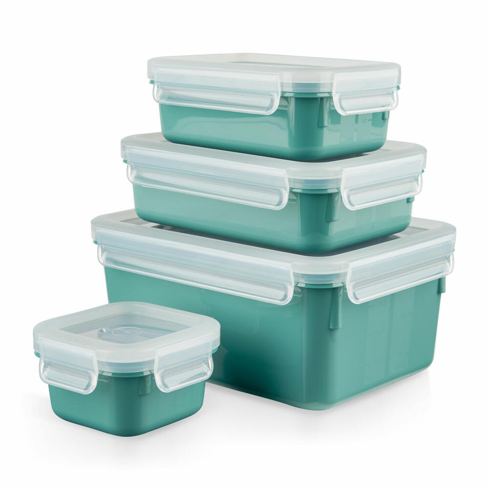 EMSA Clip &amp; Close COLOR EDITION food storage containers, 4 pcs., storage container, storage container, food storage container, plastic, powder green, N10310
