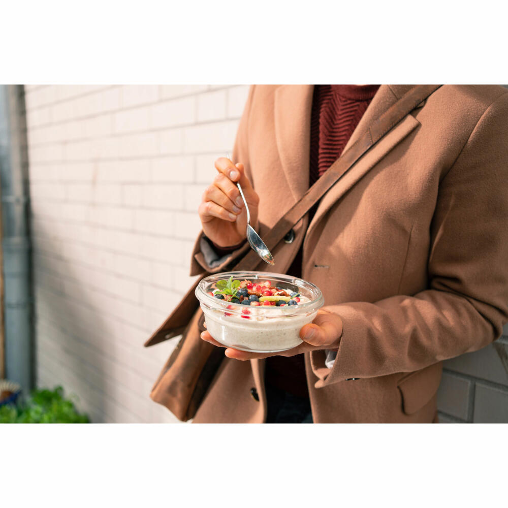 EMSA Clip &amp; Close GLASS food storage container, storage container, transparent / red, 0.6 L, N10403