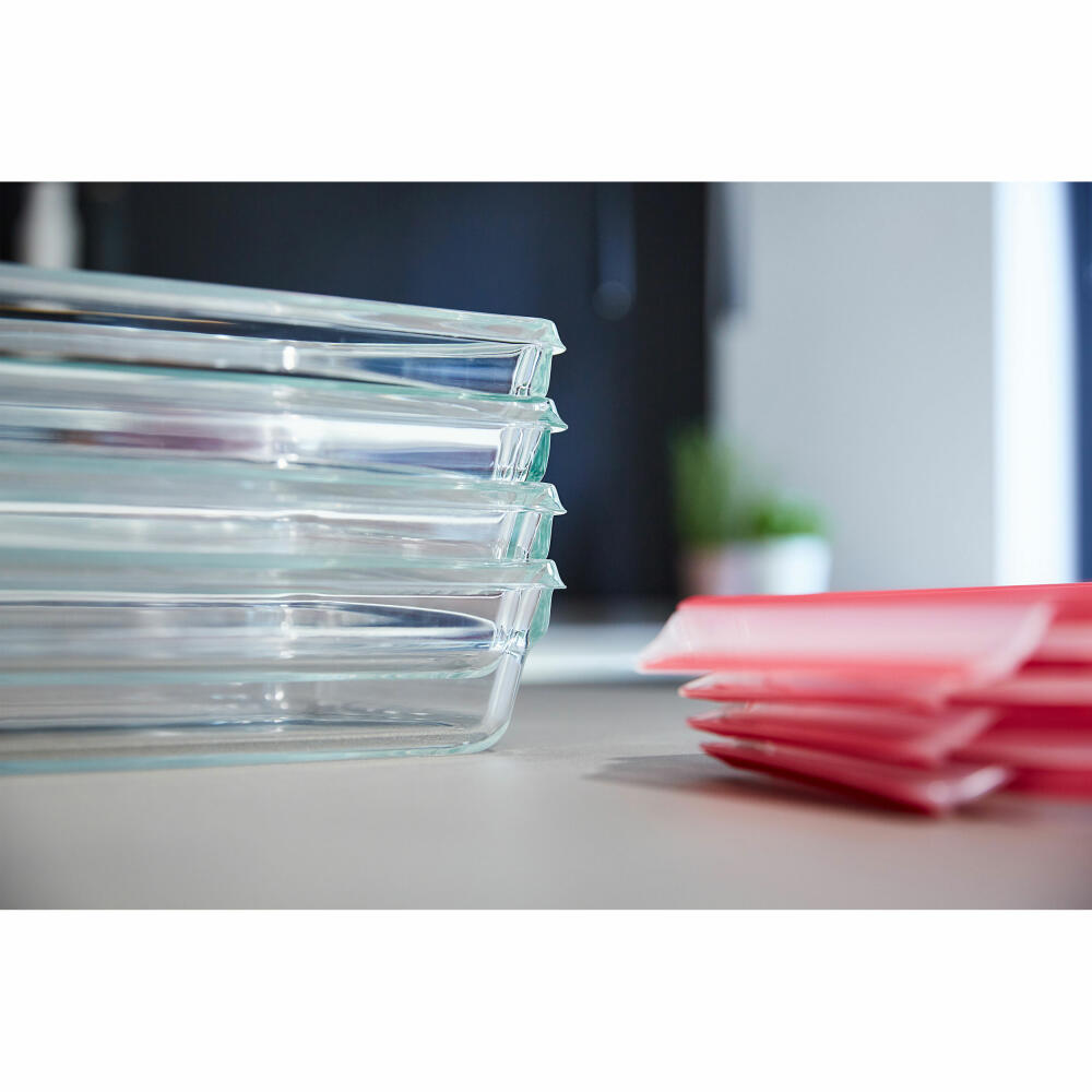 EMSA Clip &amp; Close GLASS food storage container, with divider, storage container, storage jar, transparent / red, 0.8 L, N10407