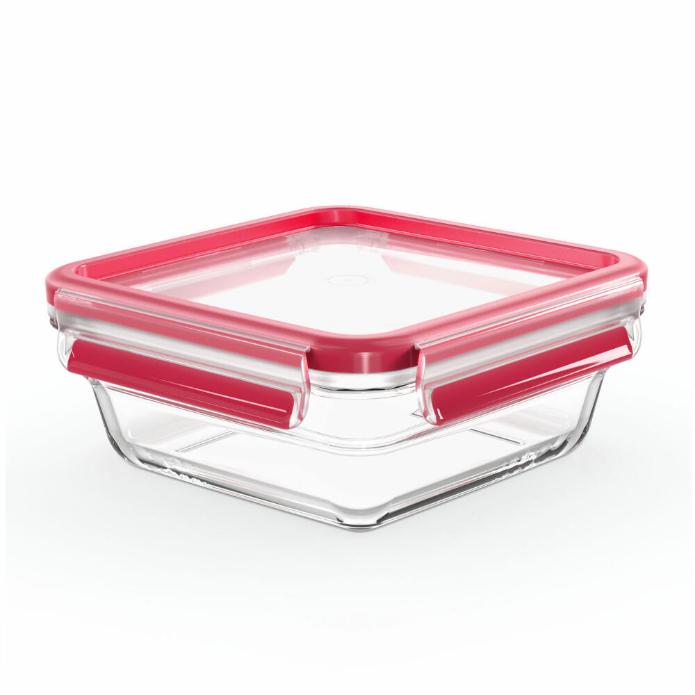 EMSA Clip &amp; Close GLASS food storage container, storage container, transparent / red, 0.8 L, N10414