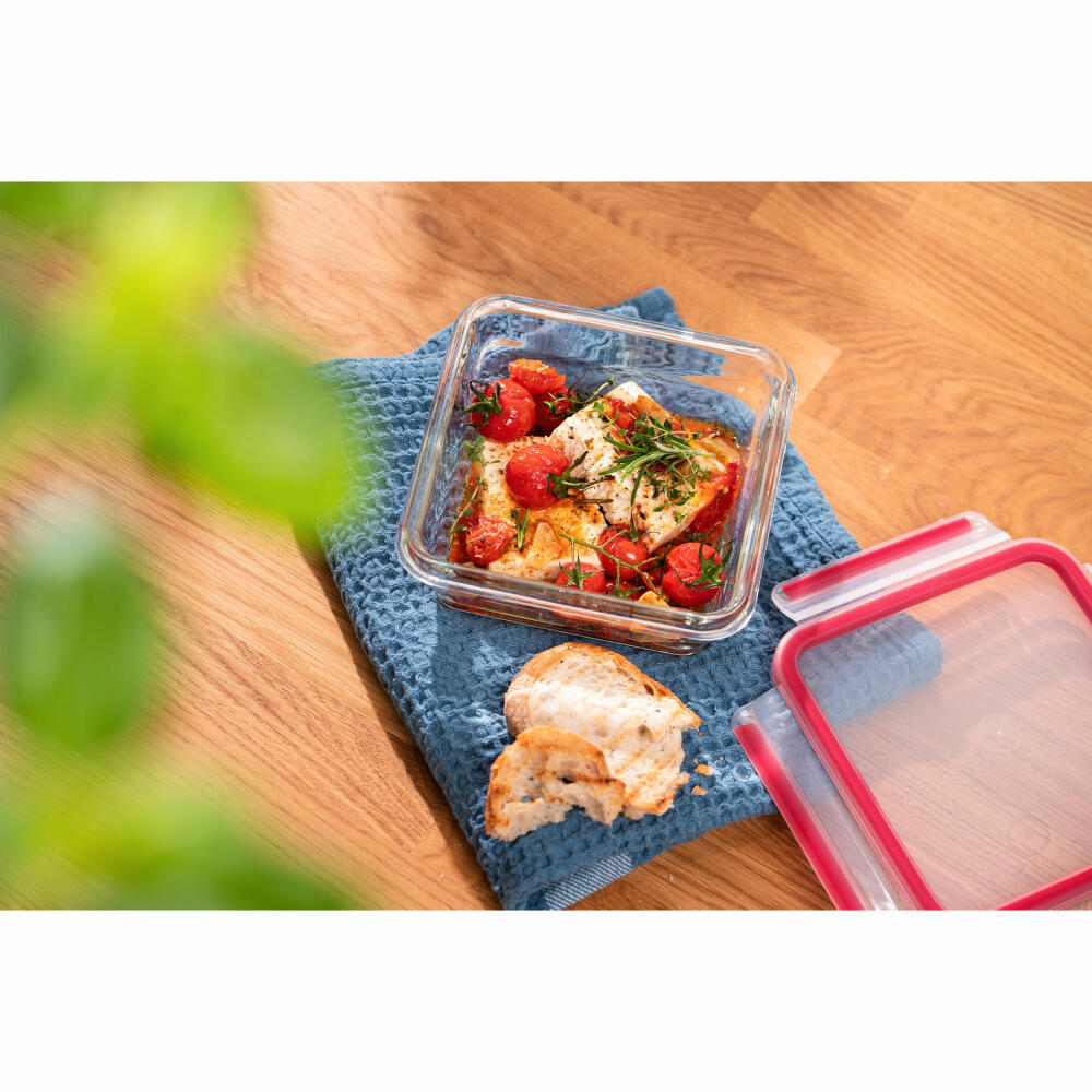 EMSA Clip &amp; Close GLASS food storage container, storage container, transparent / red, 0.8 L, N10414