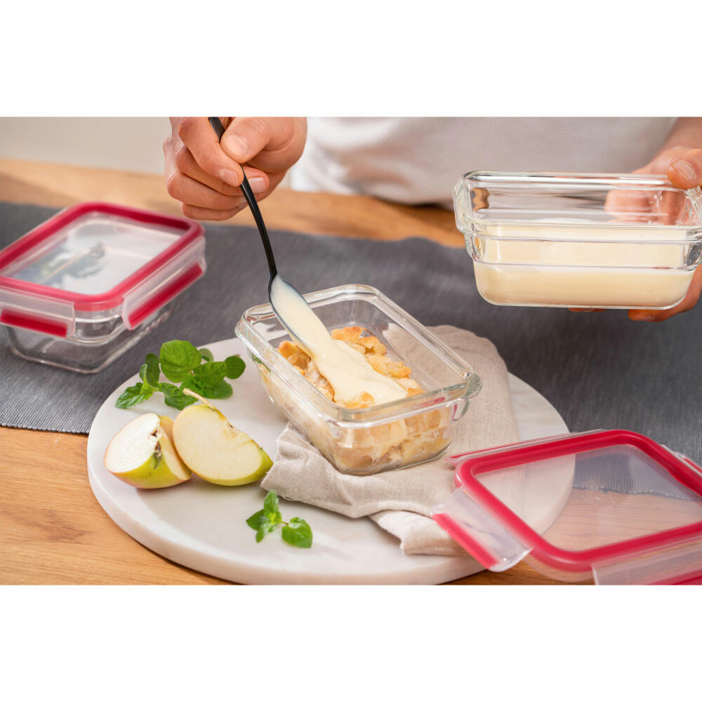 EMSA Clip &amp; Close GLASS food storage container, rectangular, storage container, storage jar, transparent / red, 0.8 L, N10405