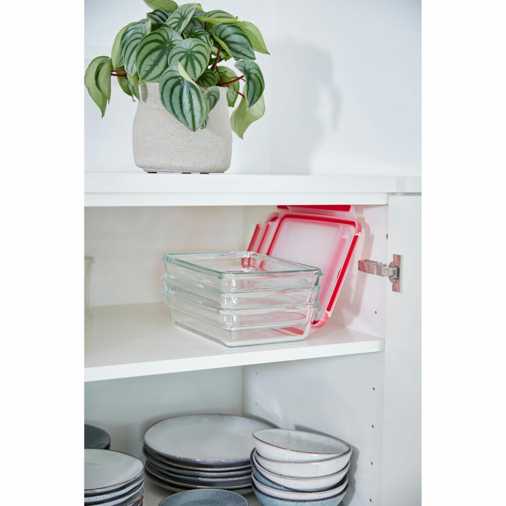 EMSA Clip &amp; Close GLASS food storage container, with divider, storage container, storage jar, transparent / red, 0.8 L, N10407