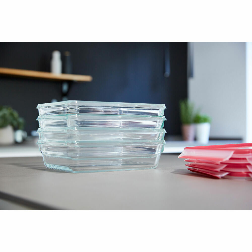EMSA Clip &amp; Close GLASS food storage container, with divider, storage container, storage jar, transparent / red, 0.8 L, N10407