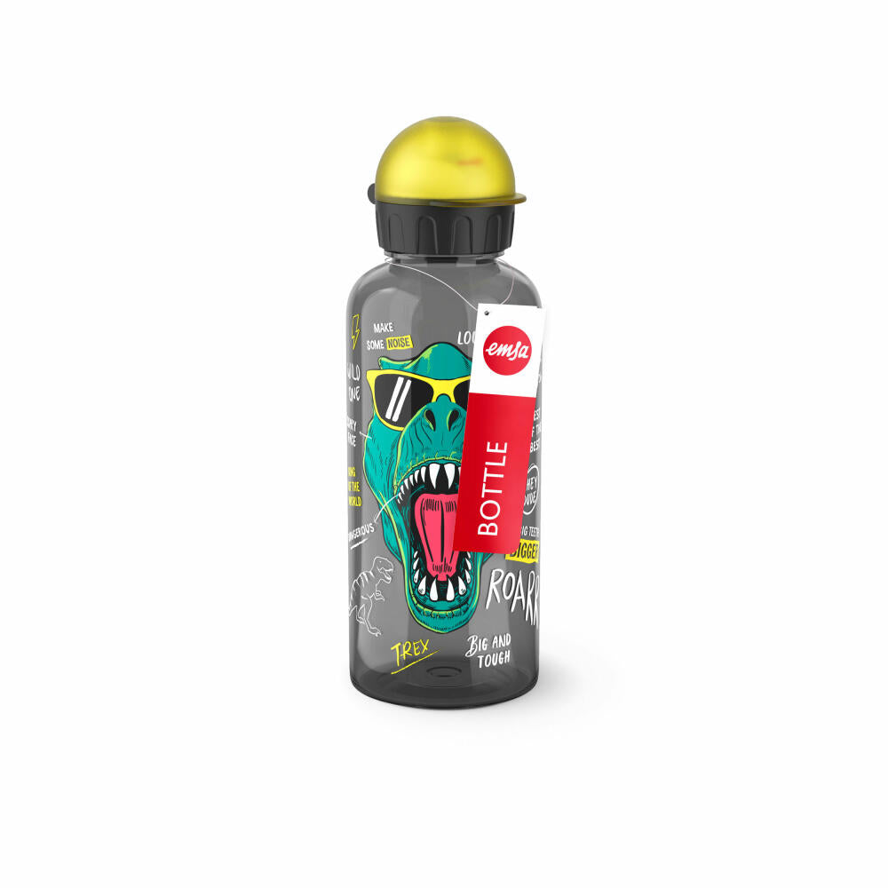 EMSA Teens Tritan Trinkflasche Dino, Wasserflasche, Flasche, Kinder, Kunststoff, 0.6 L, N30603