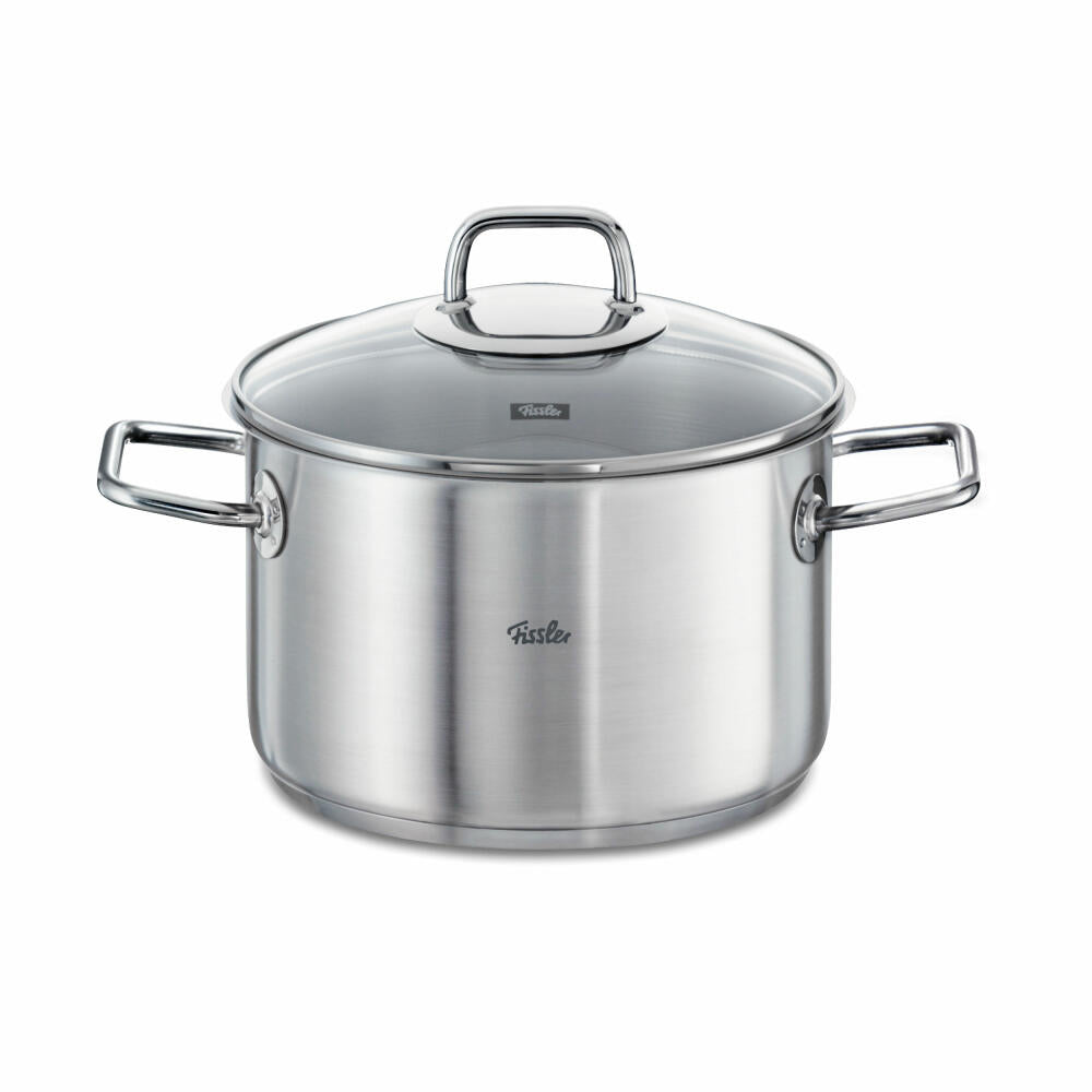 Fissler Viseo Kochtopf, Edelstahl 18/10, Glasdeckel, Induktionsherd geeignet, Ø 16 cm