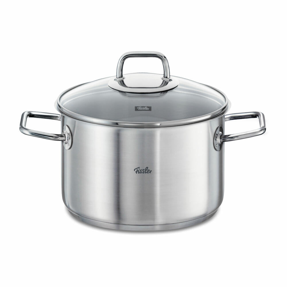 Fissler Viseo Kochtopf, Edelstahl 18/10, Glasdeckel, Induktionsherd geeignet, Ø 20 cm