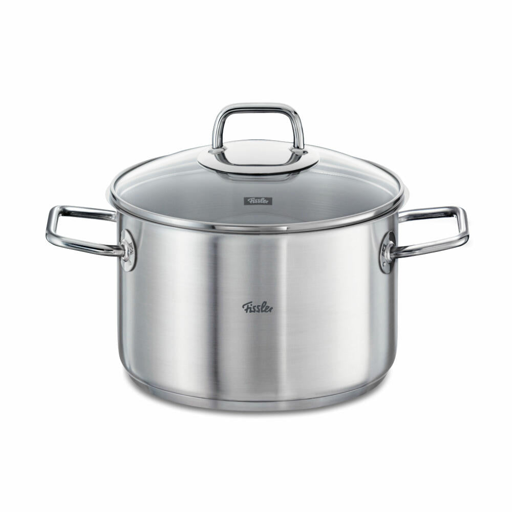 Fissler Viseo Kochtopf, Edelstahl 18/10, Glasdeckel, Induktionsherd geeignet, Ø 24 cm