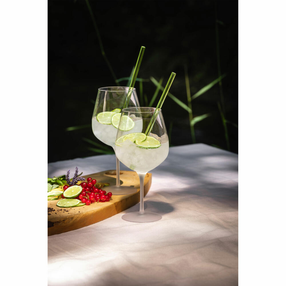 Eisch Glashalm 2er Set Gentleman Grün, mit Bürste, Glastrinkhalme, Glas, Grün, 20 cm, 86599811