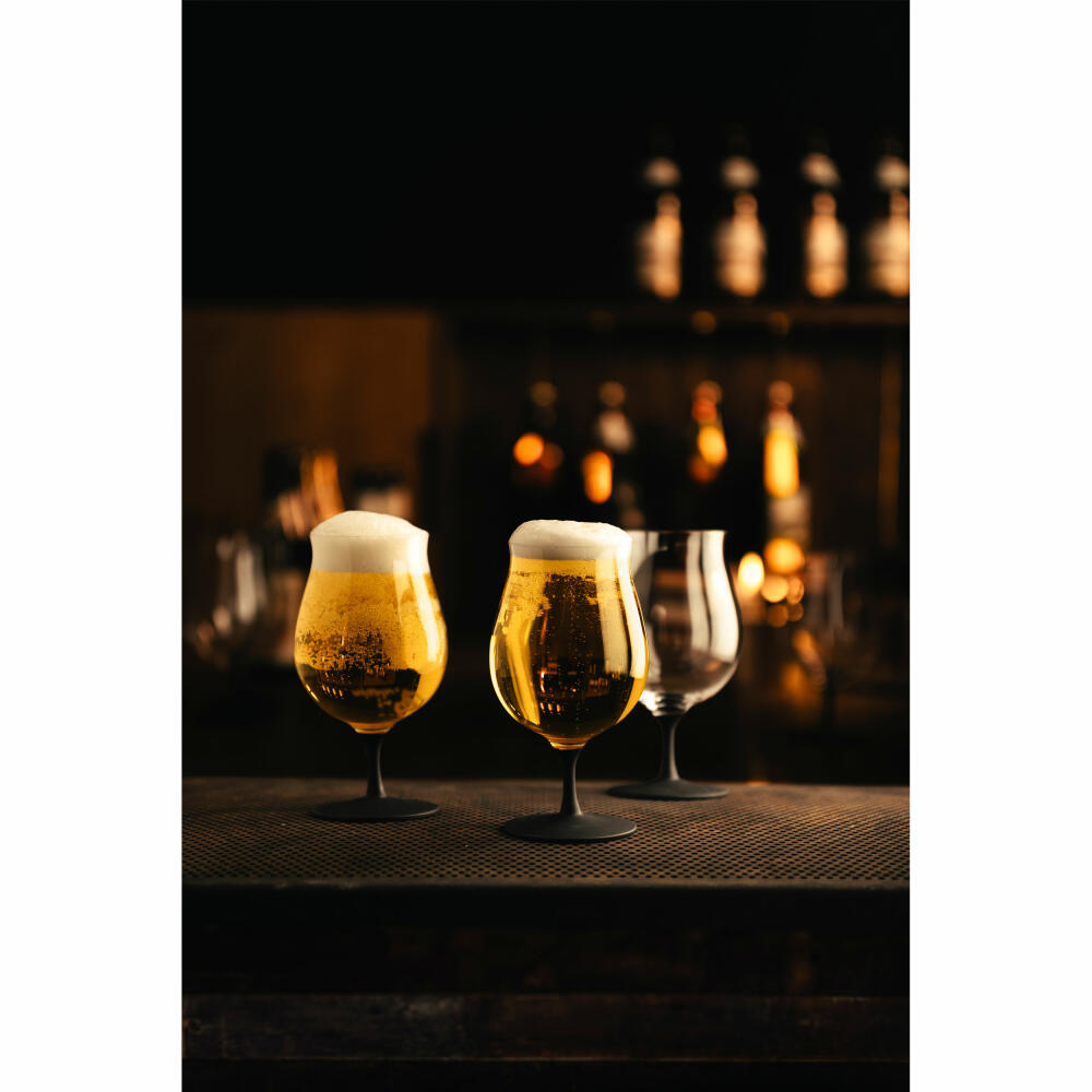 Eisch Universal Craft Beer Kelch 2er Set, Craft Beer Experts, Bierglas, Craftbeer, Kristallglas, 520 ml, 30050218