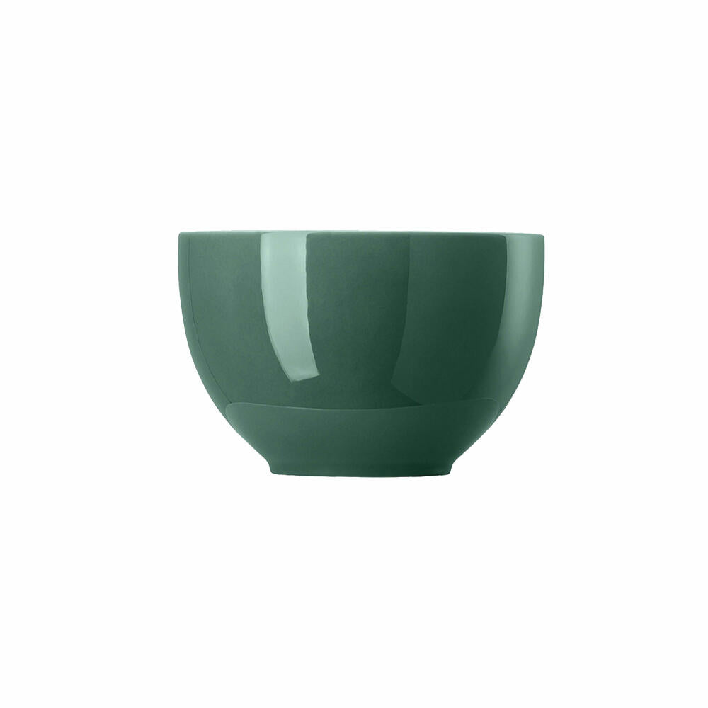 Thomas Sunny Day Müslischale, Porzellan, Herbal Green, 12 cm, 10850-408546-15456