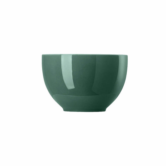 Thomas Sunny Day Müslischale, Porzellan, Herbal Green, 12 cm, 10850-408546-15456