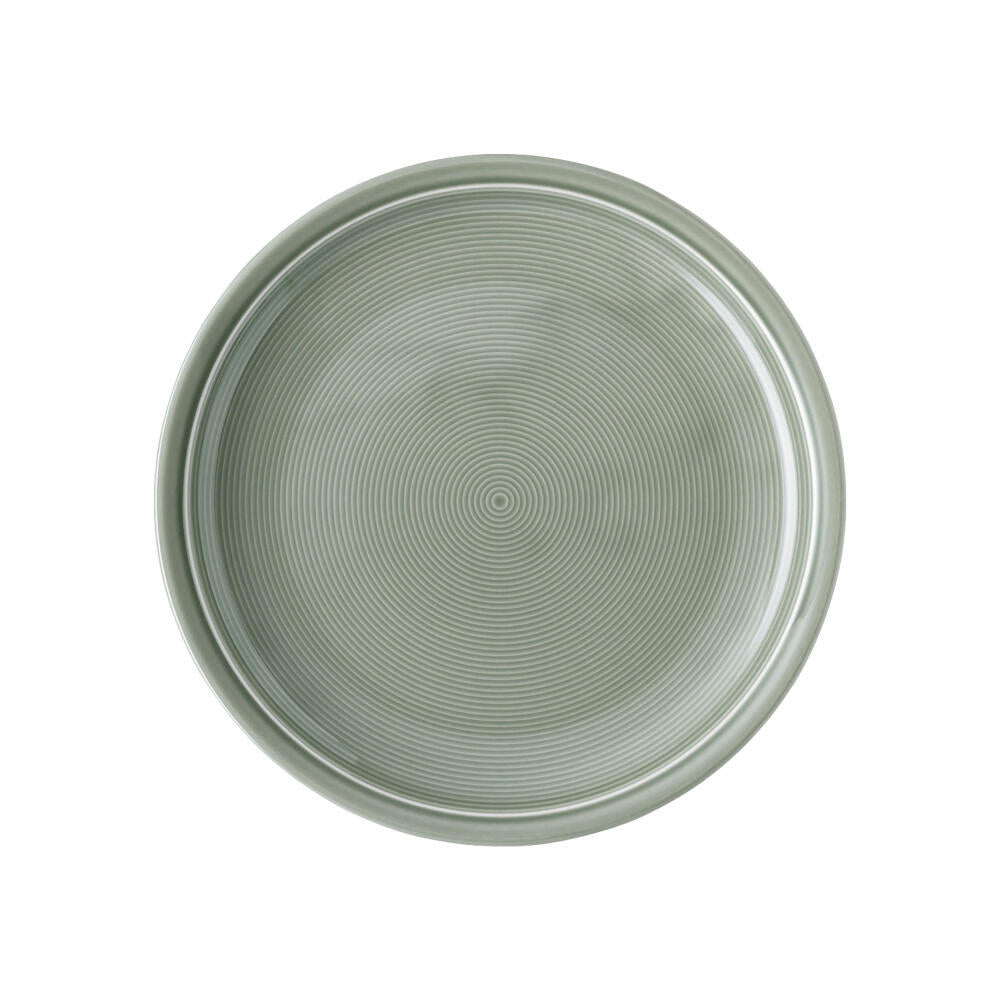 Thomas Trend Colour Speiseteller, Teller flach, Porzellan, Moss Green, 26 cm, 11400-401922-10226