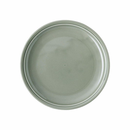 Thomas Trend Colour dinner plate, flat plate, porcelain, Moss Green, 26 cm, 11400-401922-10226