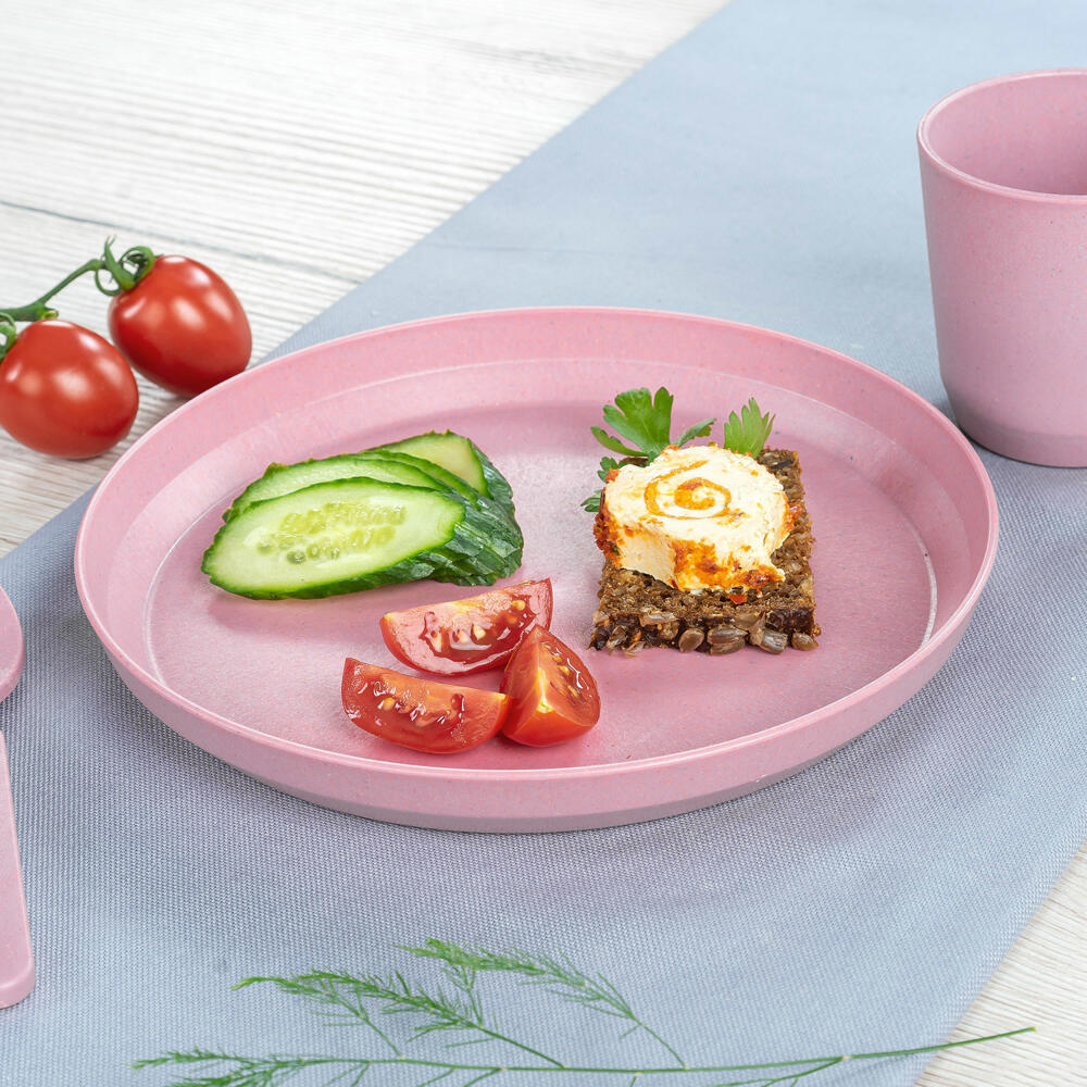 reer Growing Plate, Set of 2, Dinner Plate, Children's Plate, Dinner Plate, Pink, Ø 20 cm, 22074