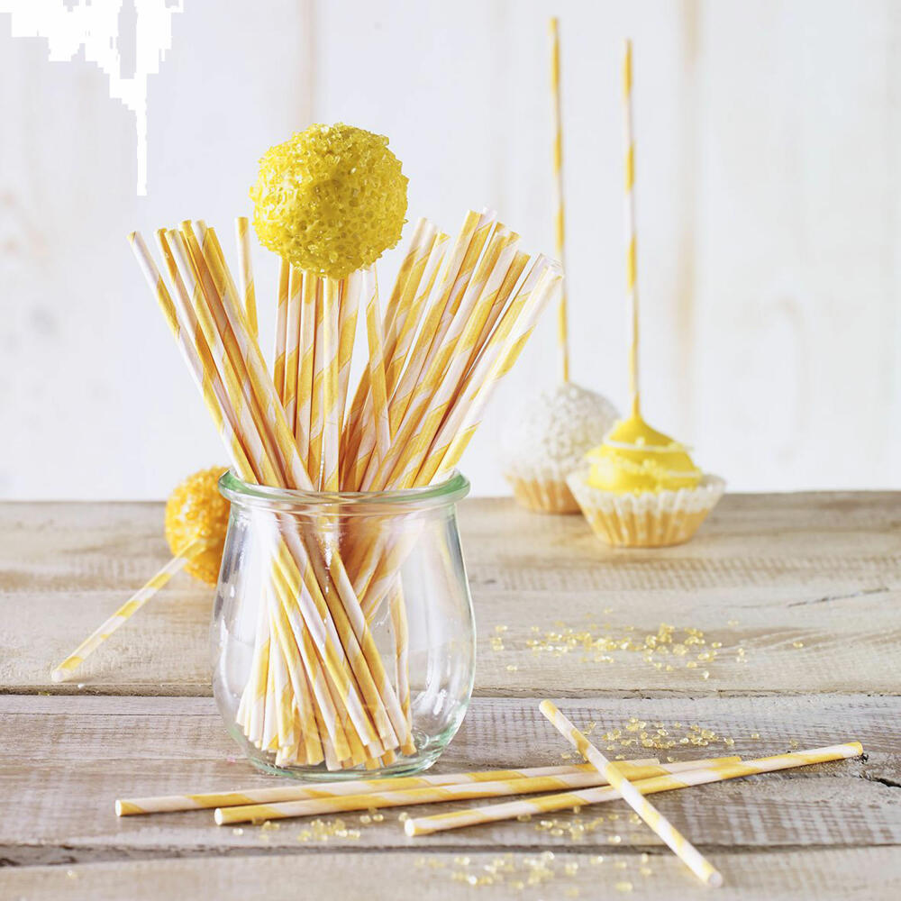 Birkmann Lolli Sticks, 48 Lolli-Sticks für CakePops, Stiele, Kuchenlollistäbe, Stäbe, Stäbchen, Papier, Orange Gestreift, 15 cm, 443235