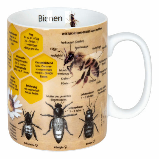 Könitz Wissensbecher Biene Becher, Kaffeebecher, Teetasse, Tasse, Porzellan, 360 ml, 11 1 330 2445